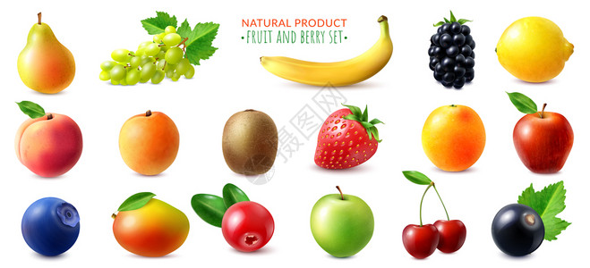 产品猕猴桃真实的浆果水果与梨,苹果,草莓,香蕉,柠檬,猕猴桃分离白色背景矢量插图插画