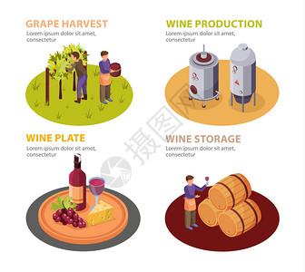 酒庄图标葡萄酒生产图标葡萄酒板存储符号等距隔离矢量插图插画