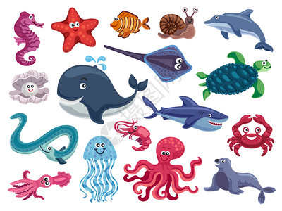 纵横海洋居民趣的与卡通形象的msrine动物鱼类空白背景矢量插图插画