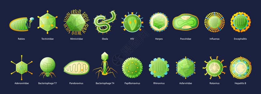 小儿川崎病人类病艾滋病埃博拉流感肝炎绿色教育图表与名称黑色背景矢量插图插画