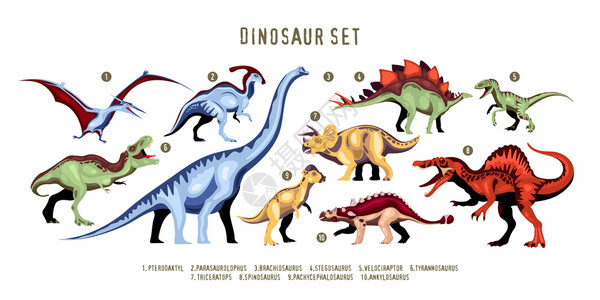 粗面副四川虫侏罗纪时期灭绝的捕食者龙五颜六色的十个特征,并附矢量插图龙颜色集插画