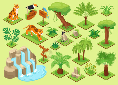 等距丛林动物集与构造元素的异国丛林树木,植物鸟类与瀑布矢量插图图片