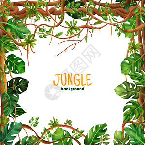 装饰热带雨林攀登利亚纳广场框架与丛林爬行藤蔓植物留下现实的背景矢量插图背景图片