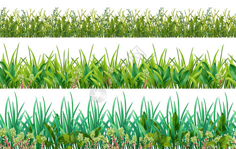 辣根逼真的草色绿叶观叶植物3水平装饰无缝图案矢量插图插画