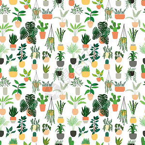 巴托洛梅奥无缝图案与收集手绘室内植物白色背景盆栽植物的收集彩色平矢量插图插画