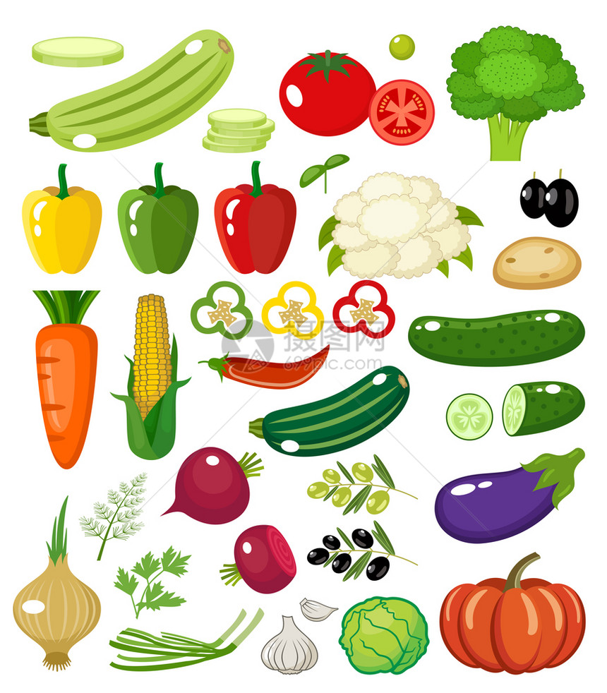 蔬菜白色背景上分离矢量插图图片