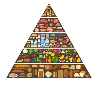 脂肪图食物金字塔健康饮食信息图矢量平插图插画