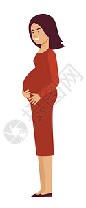 孕妇的肚子特写白色背景的孕妇矢量平插图插画