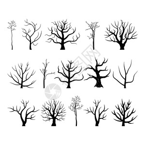 树矢量插图图片