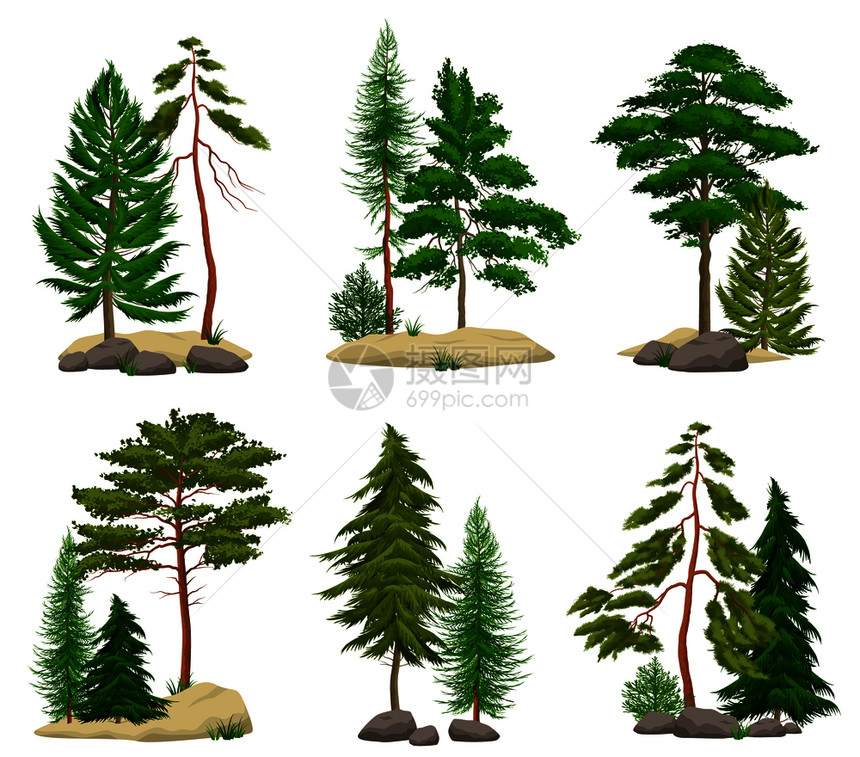 套真实的松林元素与针叶树土壤巨石分离的矢量插图图片