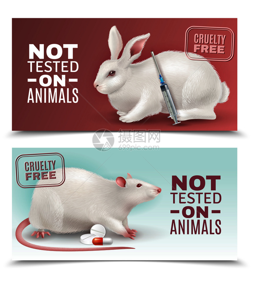 未动物水平横幅上测试兔大鼠医疗注射器药丸真实图像矢量插图没动物横幅上测试图片