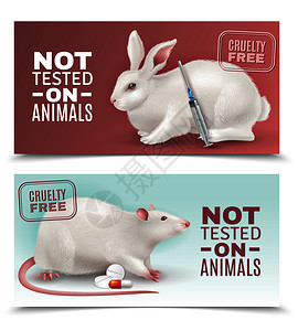 宠物广告未动物水平横幅上测试兔大鼠医疗注射器药丸真实图像矢量插图没动物横幅上测试插画
