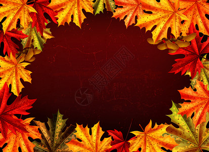 感恩节彩色卡片与文字树叶的枫叶风格矢量插图感恩节彩色卡片背景图片