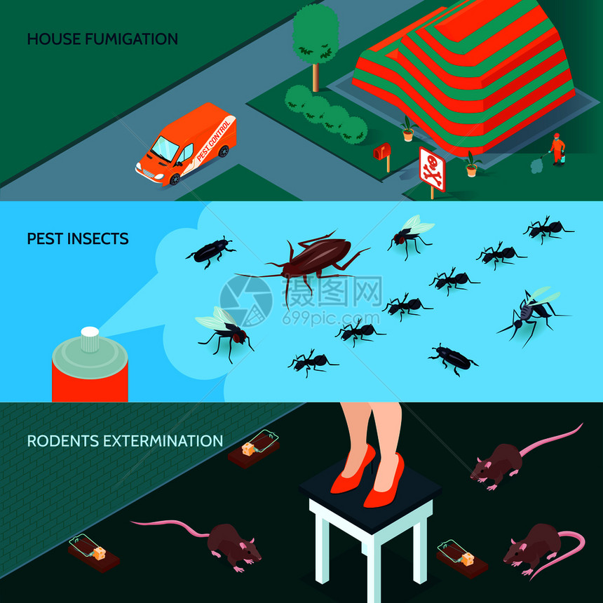 国内消水平横幅方法的昆虫啮齿动物灭绝三维等距孤立矢量插图国内消等距横幅图片