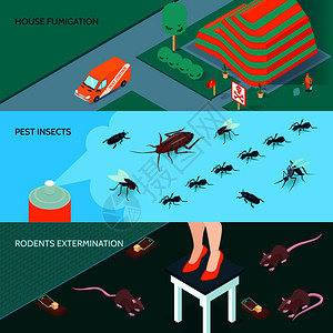 蟑螂药国内消水平横幅方法的昆虫啮齿动物灭绝三维等距孤立矢量插图国内消等距横幅插画