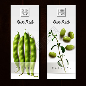 新鲜机绿豆荚健康选择农场市场提供2个现实的垂直横幅孤立矢量插图绿豆现实的横幅背景图片