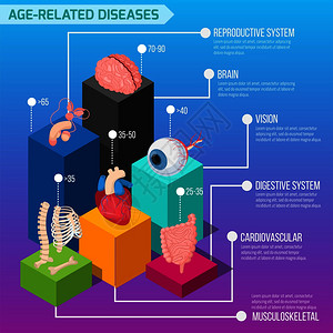 视觉系统龄相关的人类疾病信息布局与内脏生物系统失败的统计等距矢量图插画
