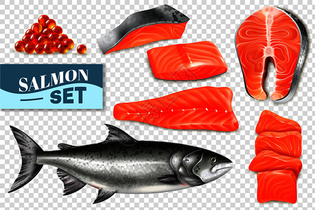 开胃食物透明背景矢量图上分离出真实的鲑鱼鱼牛排鱼子酱插画
