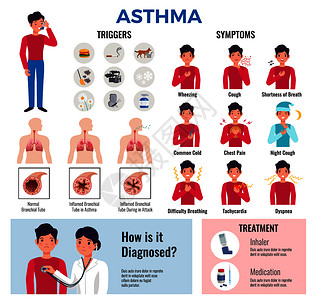 哮喘慢疾病平信息图元素收集与触发症状,导致诊断,药物治疗矢量插图背景图片