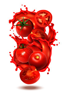 番茄果汁真实的番茄汁飞溅成分与切片整个番茄果实与液体果汁飞溅矢量插图插画