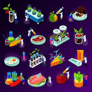 科学营养等距图标与人工食品科学家实验室设备紫色背景孤立矢量插图插画