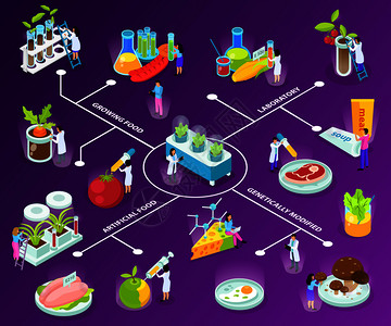 科学营养人工食品等距流程图与科学家实验中食用成分的紫色背景矢量插图插画