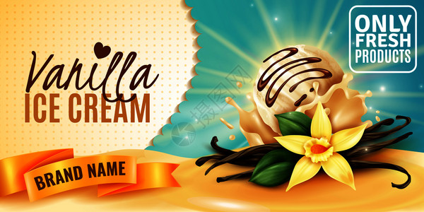香草冰淇淋天然风味产品广告海报与植物花芳香种子豆荚现实矢量插图背景图片