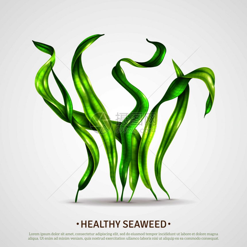 螺旋藻健康超级食品海藻富含蛋白质抗氧化剂藻类现实广告海报白色背景矢量插图图片
