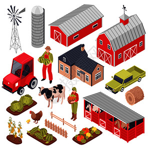 等距与农场建筑设备,家庭动植物隔离白色背景三维矢量插图图片