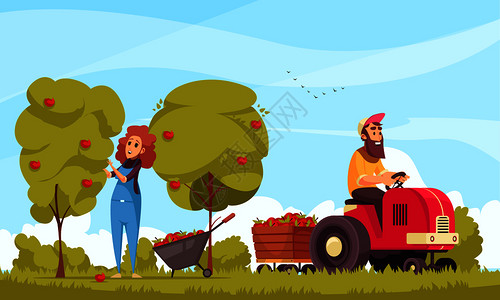 人类园丁园艺人类人物与拖拉机苹果收获蓝天背景卡通矢量插图插画