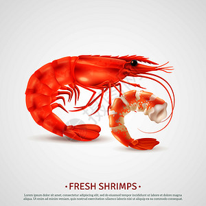 虾皮干贝新鲜煮熟的虾皮,并与特写逼真的海鲜形象广告海报矢量插图插画