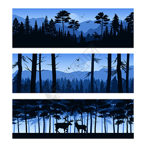 套水平横幅,现实的森林景观与德尔斯鸟类天空矢量插图图片