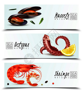 开胃虾可持续海鲜选择3现实的水平横幅与贻贝虾章鱼开胃鸡尾酒成分矢量插图插画