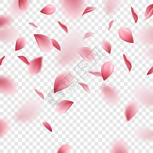 粉红色樱花花瓣透明背景上的真实矢量插图图片