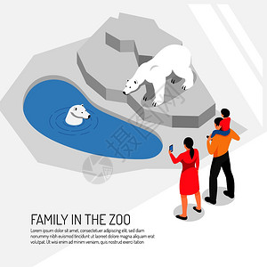 家庭动物园观看北极熊白色背景等距矢量插图图片