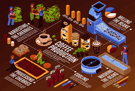 等距咖啡生产水平流程图成与分离的信息元素植物与豆类包装人的矢量插图背景图片