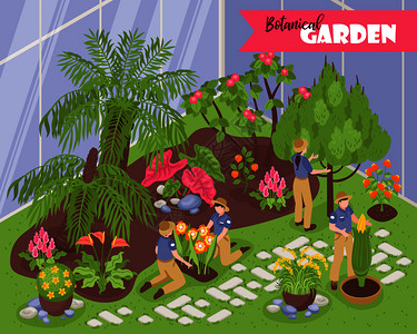 办公花园等距植物园成与可编辑的华丽文本室内景观的温室与轻自然主义者矢量插图插画