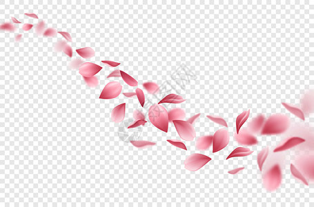 逼真的飞行樱花花瓣上透明的背景矢量插图图片