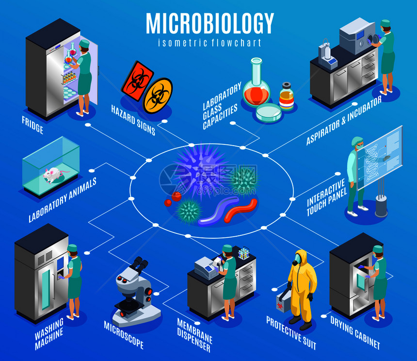 微生物学等距流程图与冰箱实验室动物洗衣机显微镜膜分配器防护服等描述矢量插图图片