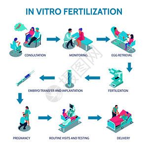 体外受精海报与咨询监测符号等距矢量插图图片