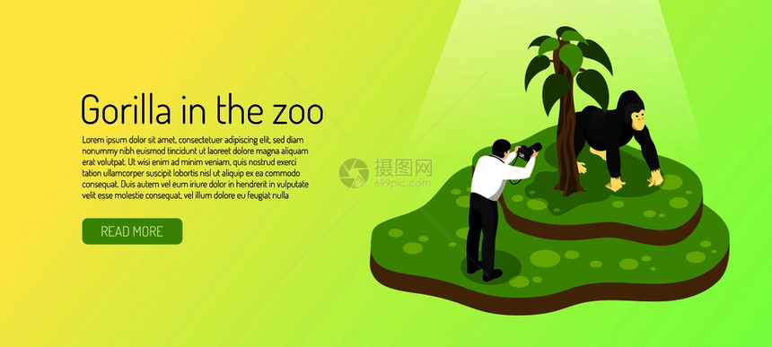 游客拍摄大猩猩黄绿色背景水平横幅等距矢量插图图片