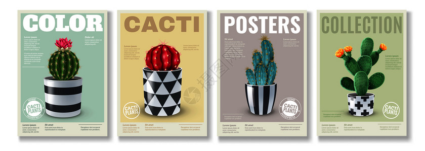 开花仙人掌品种4现实迷你海报与流行的家庭植物装饰盆矢量插图图片