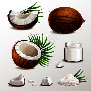 椰子肉椰子写实与坚果段肉片罐奶粉干片棕榈叶矢量插图插画