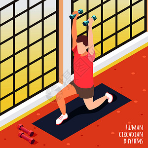 彩色等距人体昼夜节律背景男子健身房锻炼矢量插图图片