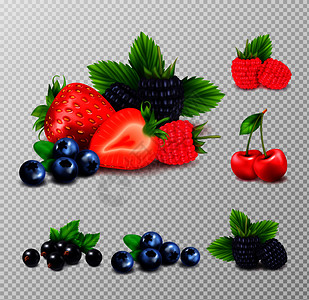 浆果水果现实与集群成熟浆果绿叶图像透明的背景矢量插图图片