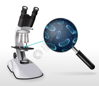 显微镜镜头用微生物实验室设备双目璃矢量插图的手放大镜镜头的真实显微镜成插画