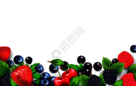 野生黑莓浆果水果真实背景,空白彩色框架与叶子浆果图像矢量插图插画