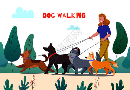 动物收容所狗步行作文与可编辑文本户外公园景观妇女与四只狗矢量插图图片
