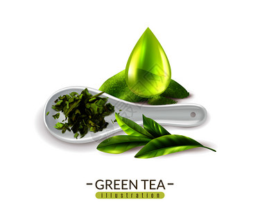 茶叶细节图真实的绿茶背景与文字图像的新鲜绿茶叶勺滴矢图插画