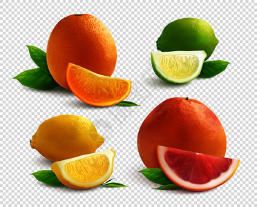 柑橘类水果真实莱姆橙柠檬葡萄柚分离透明背景矢量插图背景图片